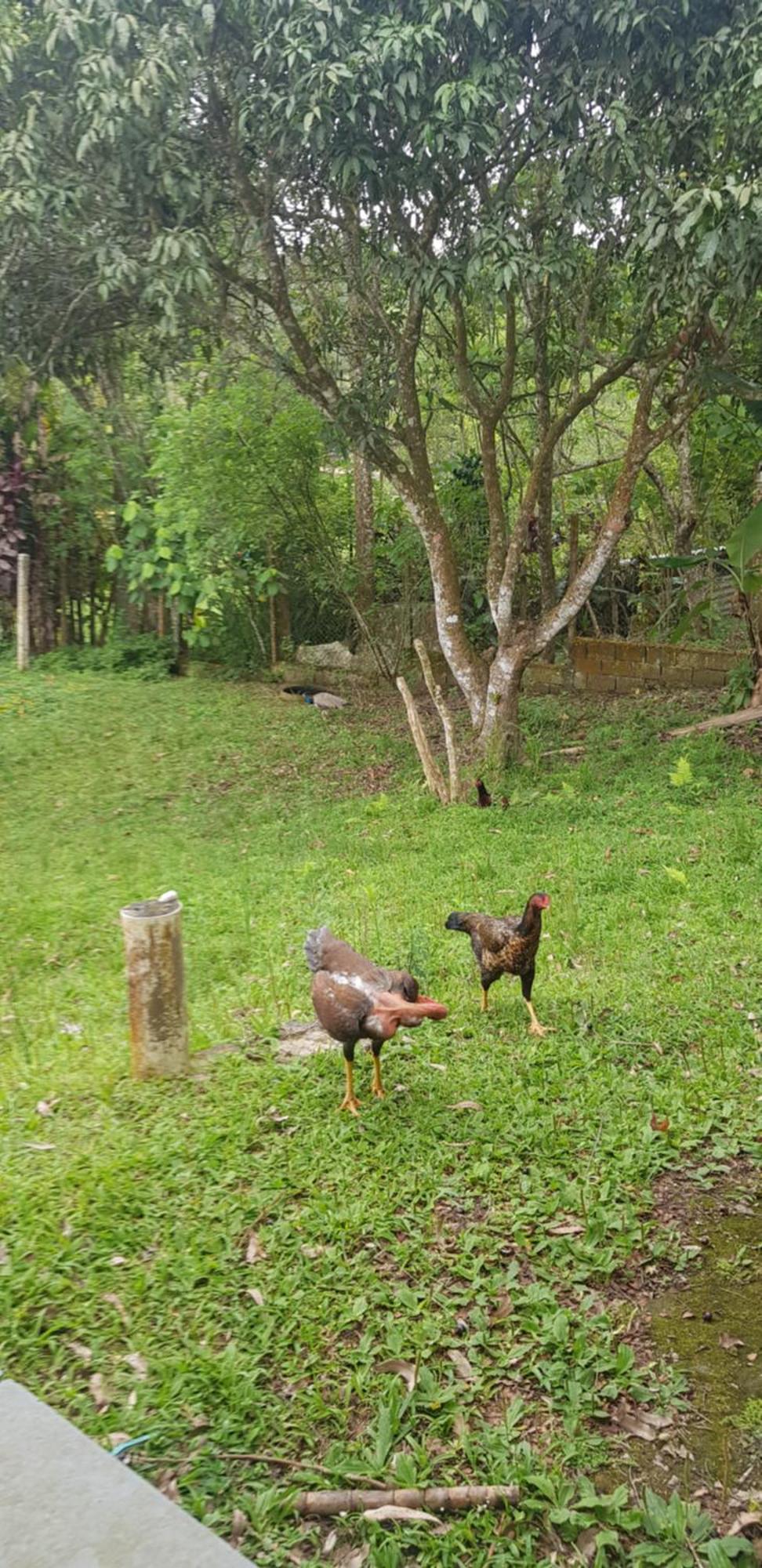 Bela Chacara Villa ซูซาโน ภายนอก รูปภาพ